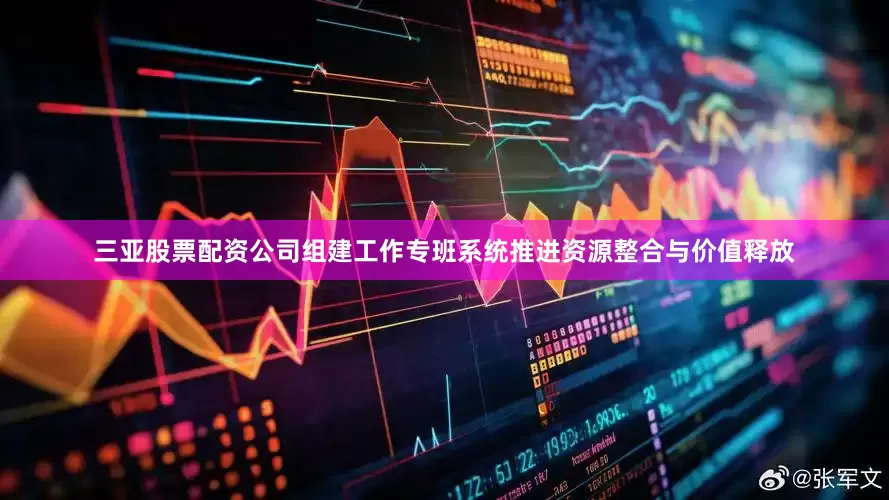 三亚股票配资公司组建工作专班系统推进资源整合与价值释放