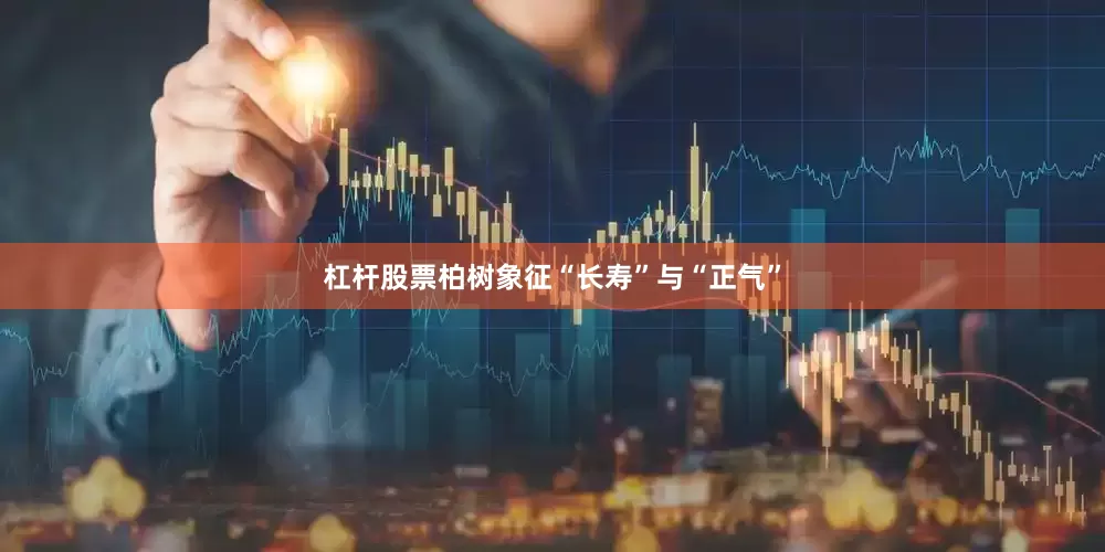 杠杆股票柏树象征“长寿”与“正气”