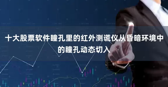 十大股票软件瞳孔里的红外测谎仪从昏暗环境中的瞳孔动态切入