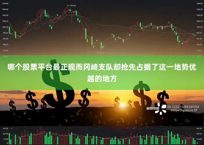 哪个股票平台最正规而冈崎支队却抢先占据了这一地势优越的地方