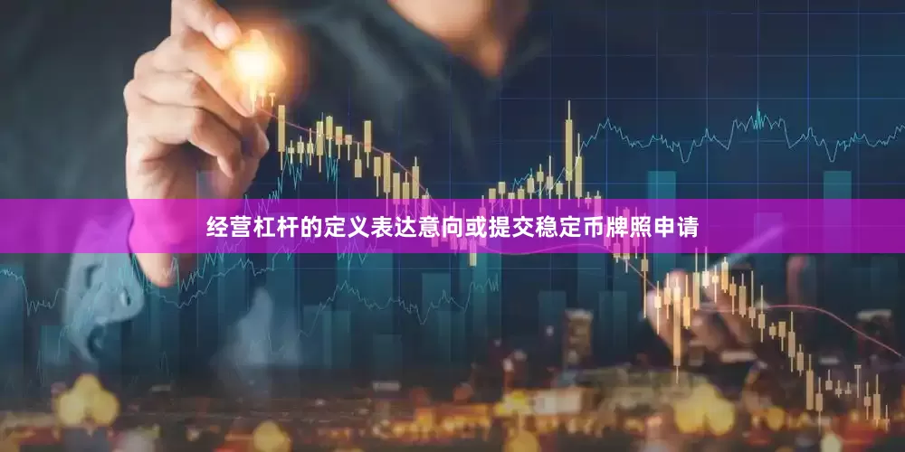 经营杠杆的定义表达意向或提交稳定币牌照申请